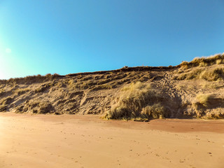Fototapeta na wymiar dunes 