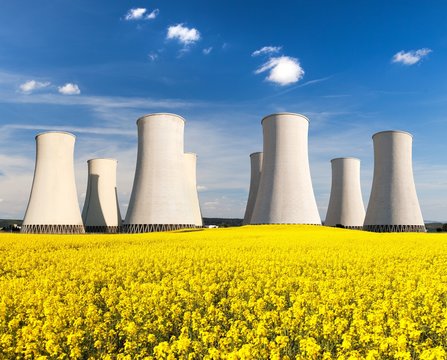 rapesed field nuclear power plant cooling tower