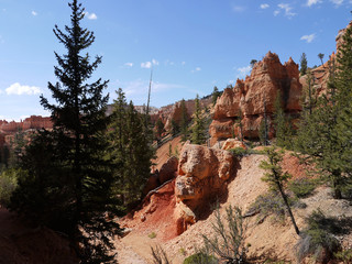 Bryce canyon national park - Utah USA America