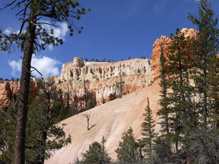 Bryce canyon national park - Utah USA America
