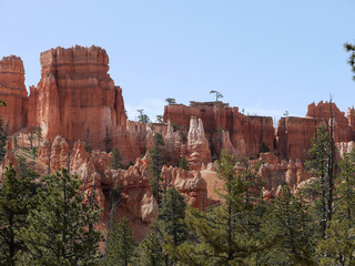 Bryce canyon national park - Utah USA America