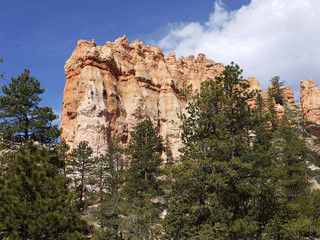 Bryce canyon national park - Utah USA America
