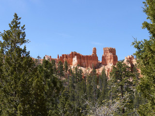 Bryce canyon national park - Utah USA America