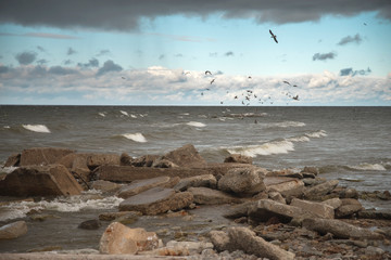 Baltic Sea.
