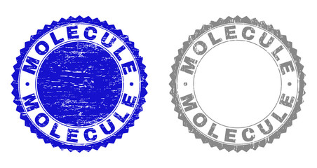 Grunge MOLECULE stamp seals isolated on a white background. Rosette seals with distress texture in blue and grey colors. Vector rubber stamp imitation of MOLECULE title inside round rosette.
