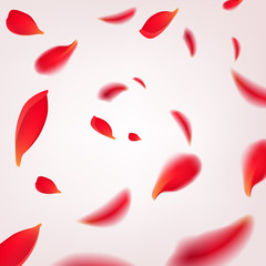 Falling swirl of red rose petals isolated on white background. Vector illustration with beauty roses petals frame, applicable for design of greeting cards on March 8 and St. Valentine's Day.