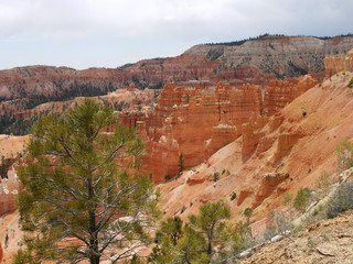 Bryce canyon national park - Utah USA America