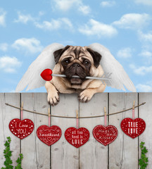 cute pug puppy dog with cupid angel wings and arrow, hanging on fence with wooden hearts with love text, blue sky