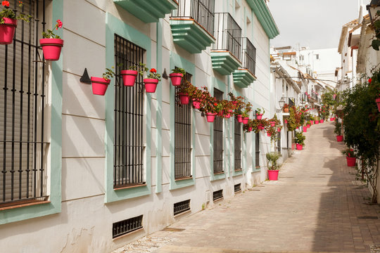 Pink Flowerpots in a Street in Estepona Andalusia Spain