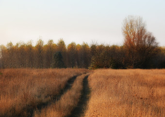 Beautiful Fall scene on curved unpaved road