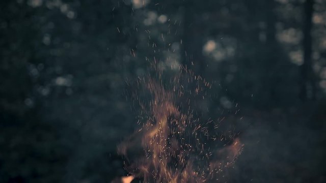 Campfire with sparks in nature at blue hour.