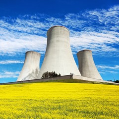 rapeseed canola colza cooling tower