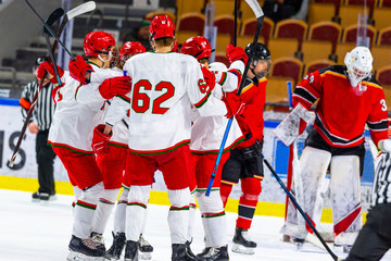 Ice hockey players celebrating a victory goal