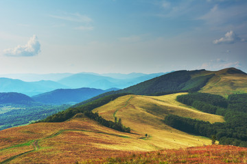 Fototapeta premium Summer landscapes in the Ukrainian Carpathian Mountains with beautiful mountain valleys and views of the ridge.