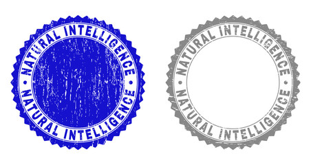 Grunge NATURAL INTELLIGENCE stamp seals isolated on a white background. Rosette seals with grunge texture in blue and gray colors.