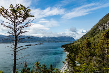 A view of York Harbour from Blow me down Provincial Park, Newfoundland, Canada