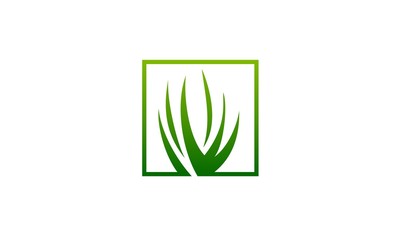 grass green leaf logo