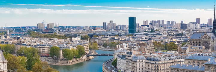 Fototapeta premium Paris, panorama of the ile de la Cite and ile Saint-Louis, on the river Seine, with the Saint-louis bridge, skyline