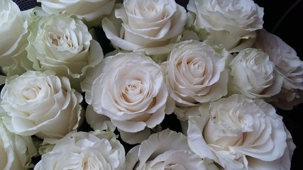 bouquet of roses
