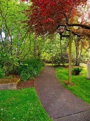 Walkway in spring park