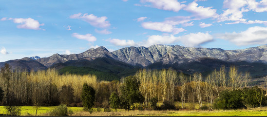 Panoramic landscape of mountains with trees and blue sky