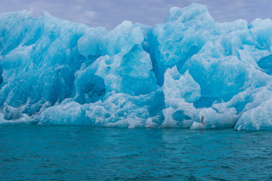 Glacier Bay 5
