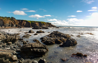 Lampton Cove, Morning
