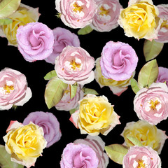 Beautiful floral background of roses. Isolated