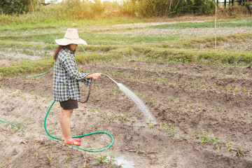 Gardener woman watering vegetables in her garden