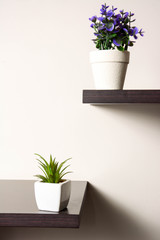 House plants on dark shelf against bright wall. Simple living room interior. Idea of a beige empty Scandinavian room interior with vases on the wooden shelf. Minimalism style in modern interior room.