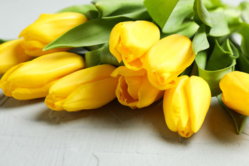 Beautiful fresh yellow tulips on grey background. Spring flowers