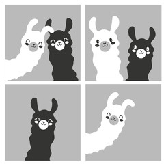 Set of cartoon pictures, images, photography with llama black and white color. Gray background. Vector illustration. Flat design. © Artamstera