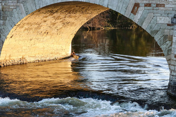 Reflets sous le pont