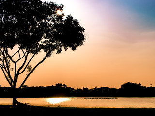 Fototapeta na wymiar Sun setting over a peaceful lake under an tree silhouette background Romantic moment
