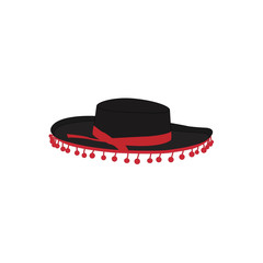 Mexican sombrero vector