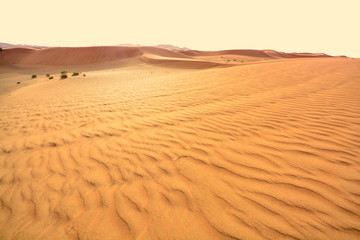 Beautiful sunset in  desert .