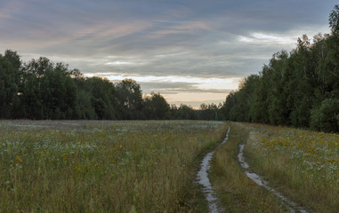 dawn landscape with rural road in the field