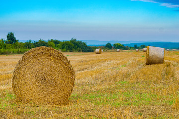 Hay bale in the countryside