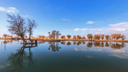 Autumn Colors Forest Woods Yellow Orange Reflecting on Blue Water Lake Landscape Natural Clear Weather Beautiful