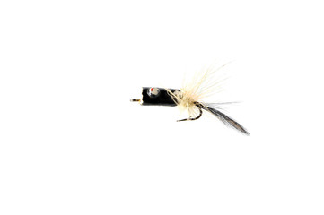 Fly for fishing on white background .