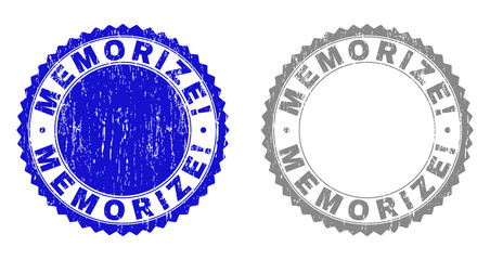 Grunge MEMORIZE! stamp seals isolated on a white background. Rosette seals with distress texture in blue and gray colors. Vector rubber stamp imitation of MEMORIZE! text inside round rosette.