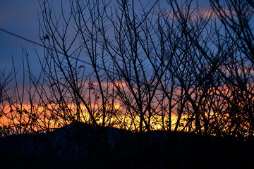 branches without leaves at sunset in winter in the mountains surrounding the city of Vitoria-Gasteiz (Alava) Basque Country, Spain
