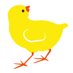 color cute vector little yellow easter chick illustration