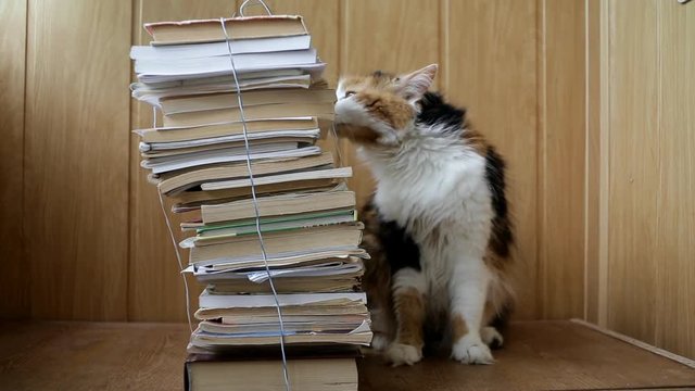 laminate, light, bundles, books, hand, cart, metal, old, movement, waste paper, information, much, library, trash. clearing, shaping, replacing, method, reading, collecting, carrying out, room, techno