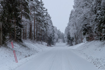 Winter road through spruce forest