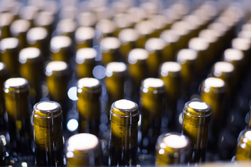 wine bottles with stoppers on modern winery