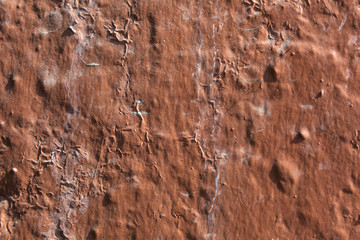Wall
