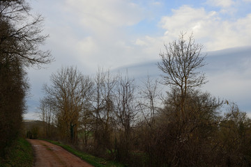 Landscapes of the route The GR 25: a path that surrounds the Llanada Alavesa at the foot of the mountain by the old roads that separate the crops, and goes into forests of beech and oak. Alava, Spain