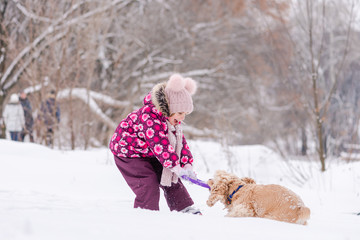 Small girl pull out ring toy from dog in snow