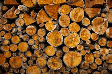 Firewood